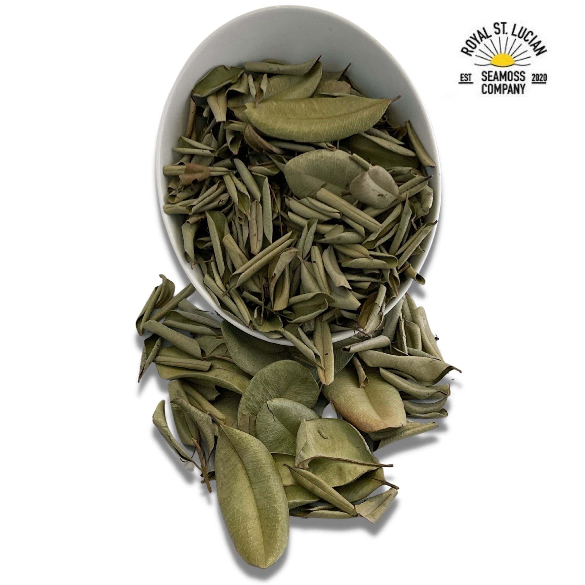 Sweet Bay Leaves from Saint Lucia — Whole 56g-2