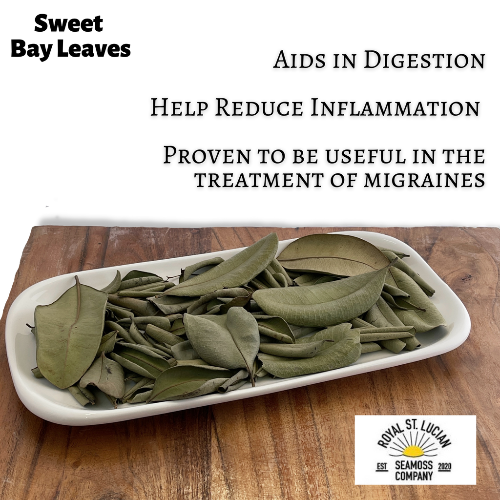 Sweet Bay Leaves from Saint Lucia — Whole 56g-0