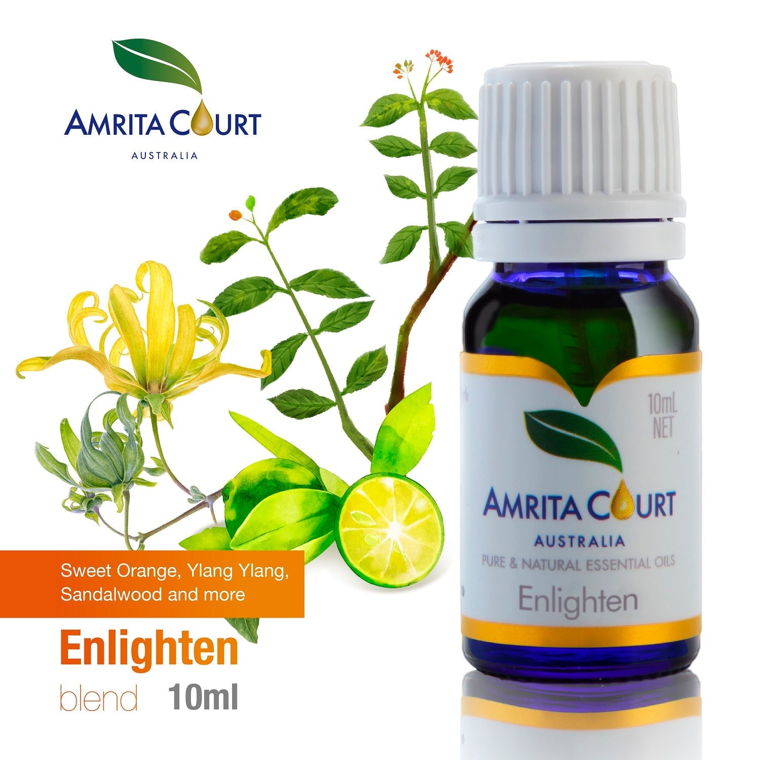 11% OFF | Total Control of Life | Enlighten + Harmony + Peaceful Sleep-4