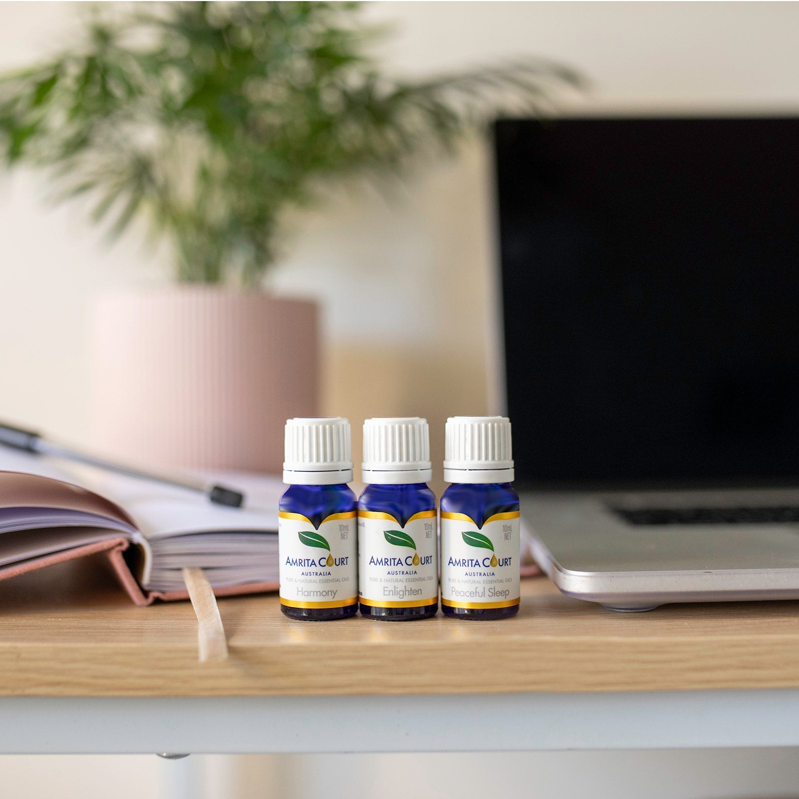 11% OFF | Total Control of Life | Enlighten + Harmony + Peaceful Sleep-0